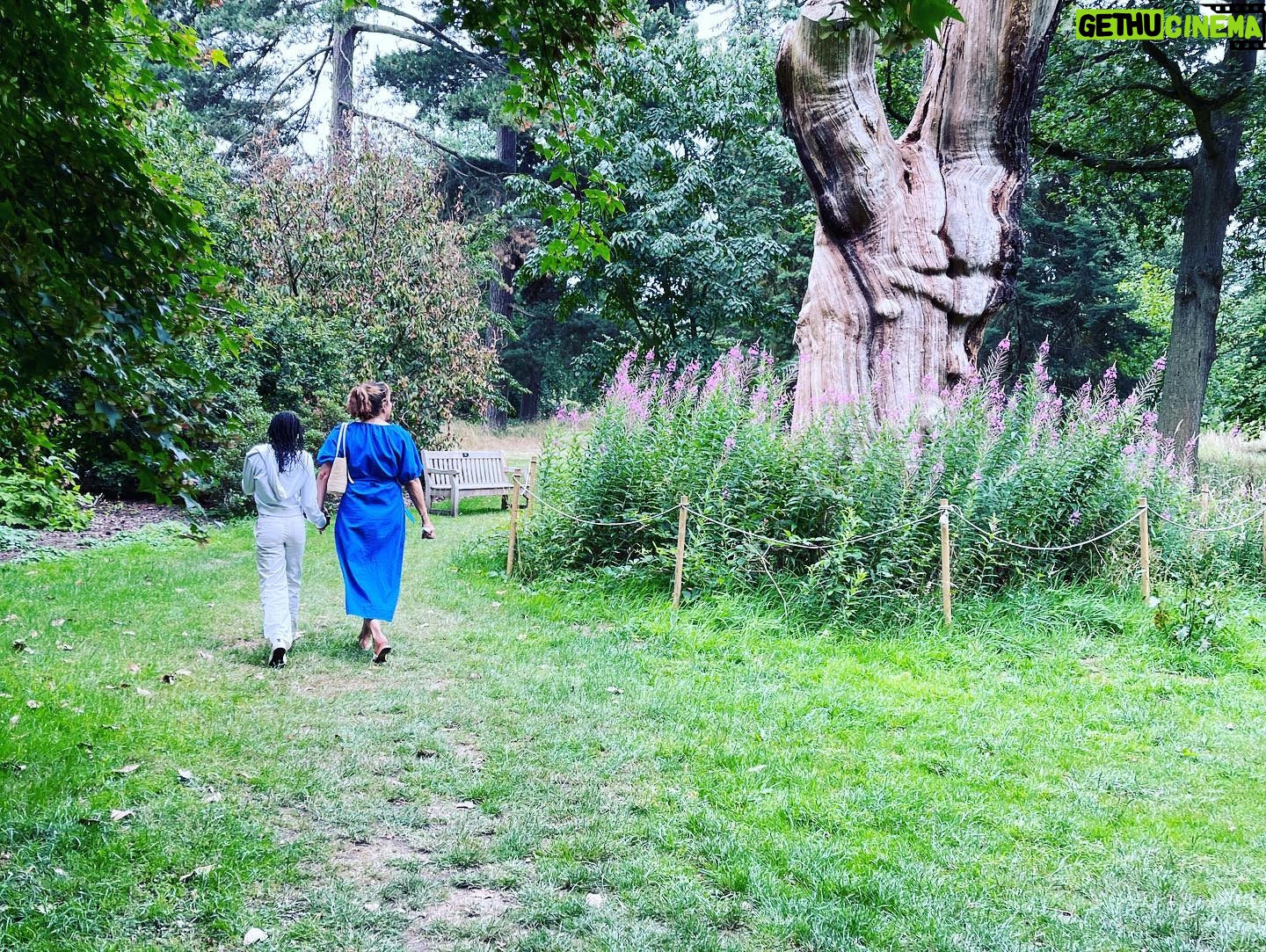 Mariska Hargitay Instagram - #kewgardens #botanicalgardens #magicgatden #secretgarden #gardenlover #gardengoals #nature #nurture #gardening #green #magiclily #magiclilies #goodforthesoul #renew #rejuvenate # connect #peace #quiet #beauty