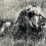 Mariska Hargitay Instagram - Best New Year’s Day. EVER. #ITookThis.