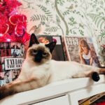 Mariska Hargitay Instagram – Happy Birthday @taylorswift ♥️karma