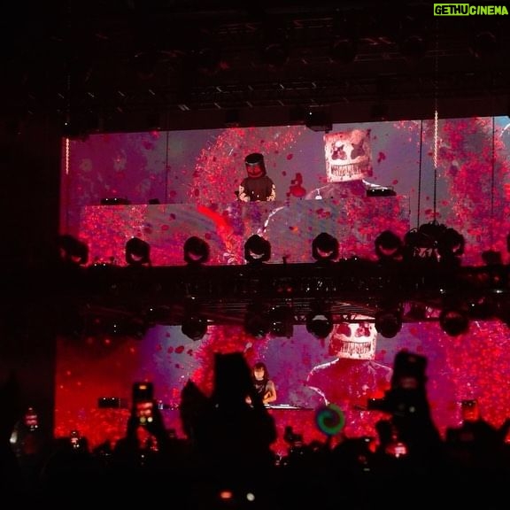 Marshmello Instagram - Dallas that was a blast! What a night to end the tour. I think we might need to do a few more of these…