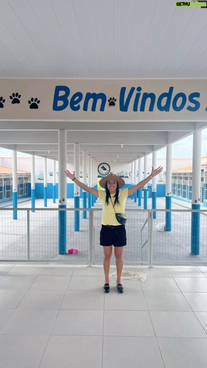 Marta Instagram - Um ano da realização de um sonho meu e de tantas outras pessoas, que voluntariamente, se dedicam para manter esse projeto vivo. Seguimos firmes para diminuir o sofrimento dos nossos pets e o mais importante, conscientizar a nossa sociedade. It’s been a year since the dream of mine and of so many other people who voluntarily dedicated themselves to keeping this project alive. We stand firm to reduce the suffering of our pets and most importantly, raise awareness in our society.