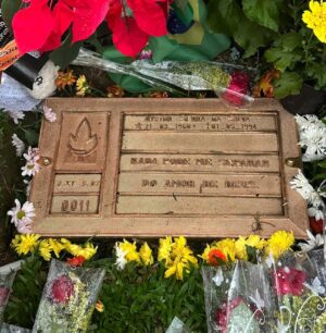 Marta Instagram - “Meu Querido (e Eterno) Ídolo Ayrton: nos Domingos, vc mostrava ao mundo a força e a beleza das cores da nossa bandeira e nos proporcionava o sentimento de orgulho de sermos Brasileiros!  Muita gratidão pelos seus ensinamentos, dedicação, resiliência, liderança, patriotismo e Brasilidade!! Obrigado por tudo 🙏🏻 !! Para SEMPRE: Ayrton Senna do Brasil 🇧🇷🇧🇷🇧🇷💚💛💚💛 #AYRTONSENNADOBRASIL