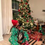 Marta Instagram - Feliz natal!! Merry Christmas!! @zoe_zeca_toby 🎄🎅🏽