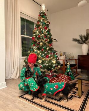 Marta Instagram - Feliz natal!! Merry Christmas!! @zoe_zeca_toby 🎄🎅🏽