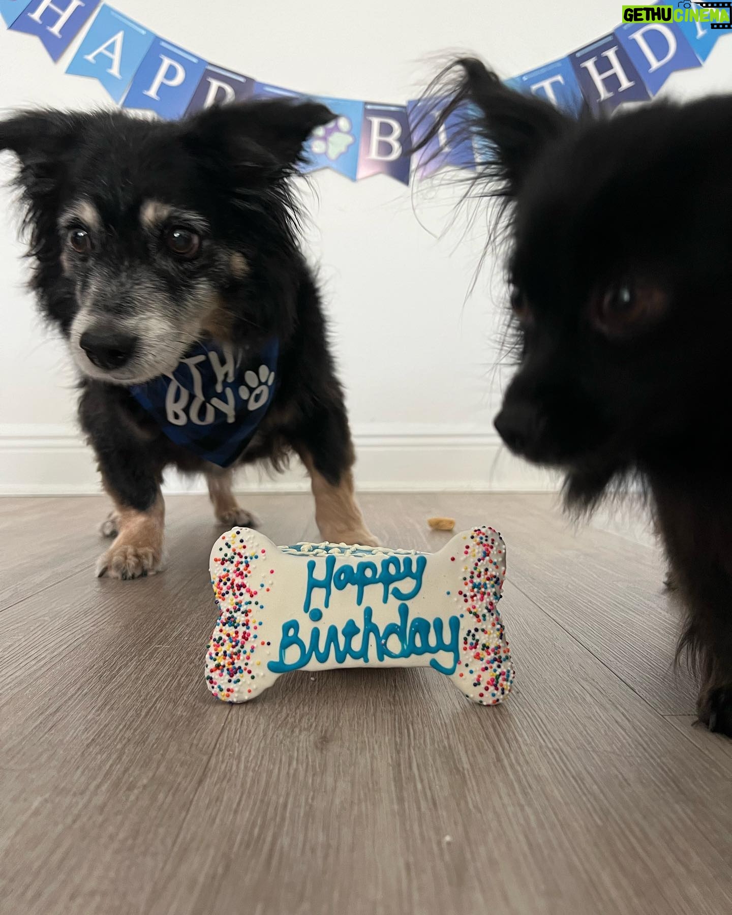Marta Instagram - Happy Birthday to my angel Toby, Iām so happy to have you in my life ! ššš¦“š @zoe_zeca_toby