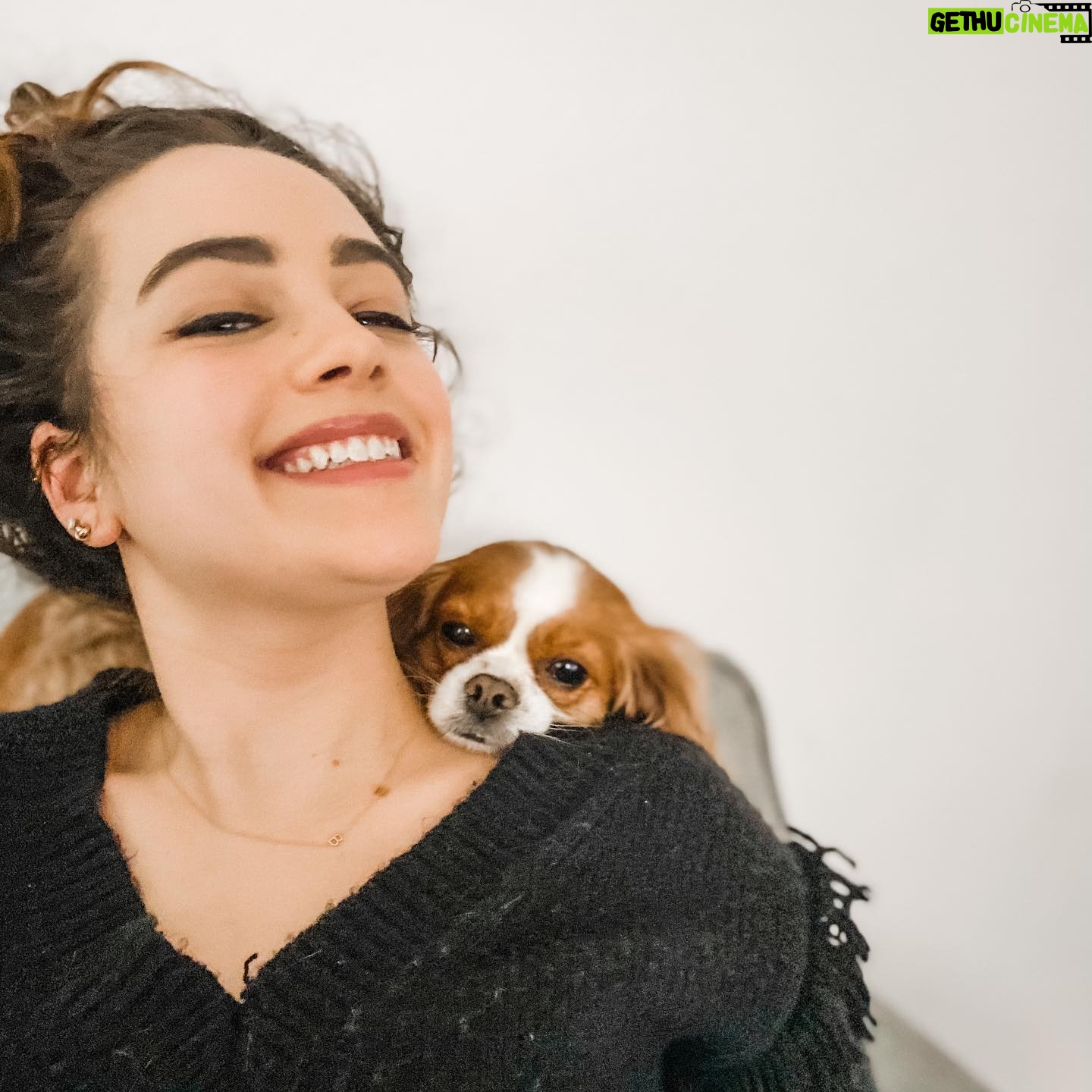Mary Mouser Instagram - please ignore the über messy bun - but this is the only place I want to be for the rest of forever I HAVE BEEN CHOSEN AS A PERCH FOR THE HEAD OF THE ONE AND ONLY LADY CHARLOTTE - you can really tell by the giant smile I’m wearing in the second pic just how big of a deal each and every Lady cuddle is for me. how’s your Saturday? I’m a little bit tired but in the best way possible - so I’m catching up with some down time, coffee, and a good book 😌☕️📖