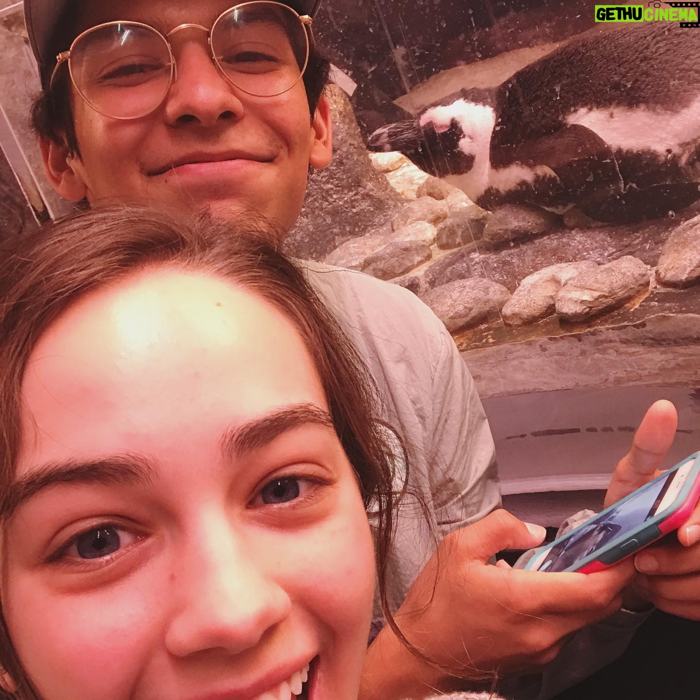 Mary Mouser Instagram - I know there is a lot of darkness in the world right now but I couldn’t go without celebrating this absolute bright spot of a human’s birthday. You’re weird, you’re ridiculous, and when it comes to posting ugly pictures of me you are borderline-cruel 😂 but I wish you the happiest of birthdays today. Knowing you for about 4 years now has impacted my life in a mostly positive way, and I hope I just haven’t been too much of a bad influence 😂 Proud of the man you are and how much I’ve seen you grow even since I’ve had the pleasure of knowing you, you’re awesome and I love you 💖