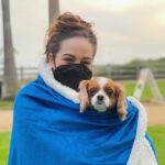 Mary Mouser Instagram - •cozy blanket ☑️ • cute pup ☑️ • quarantine messy-bun ☑️ - I love that it’s getting a little colder outside, but a cozy holiday season at home is around the corner over here and I am READY FOR IT ☃️ - Also I’ve been MIA since I’m keeping safe with my mask on, social distancing, and staying home, and I hope you’re all staying safe and smart as well so we can kick this pandemic’s butt ASAP! 👊💙 - Do you guys have one go-to blanket for winter cuddles? Or do you bury yourself under a pile of MANY blankets? (Somehow I do both 😂)