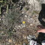 Mary Synatsaki Instagram - 10 στιγμές. 3 ημέρες στο νησί. 1 η Άνοιξη. • και του χρόνου μακάρι! 🐞