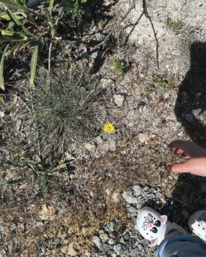 Mary Synatsaki Instagram - 10 στιγμές. 3 ημέρες στο νησί. 1 η Άνοιξη. • και του χρόνου μακάρι! 🐞