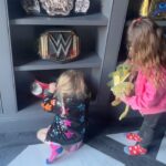 Maryse Mizanin Instagram - Got some help adding to the collection.