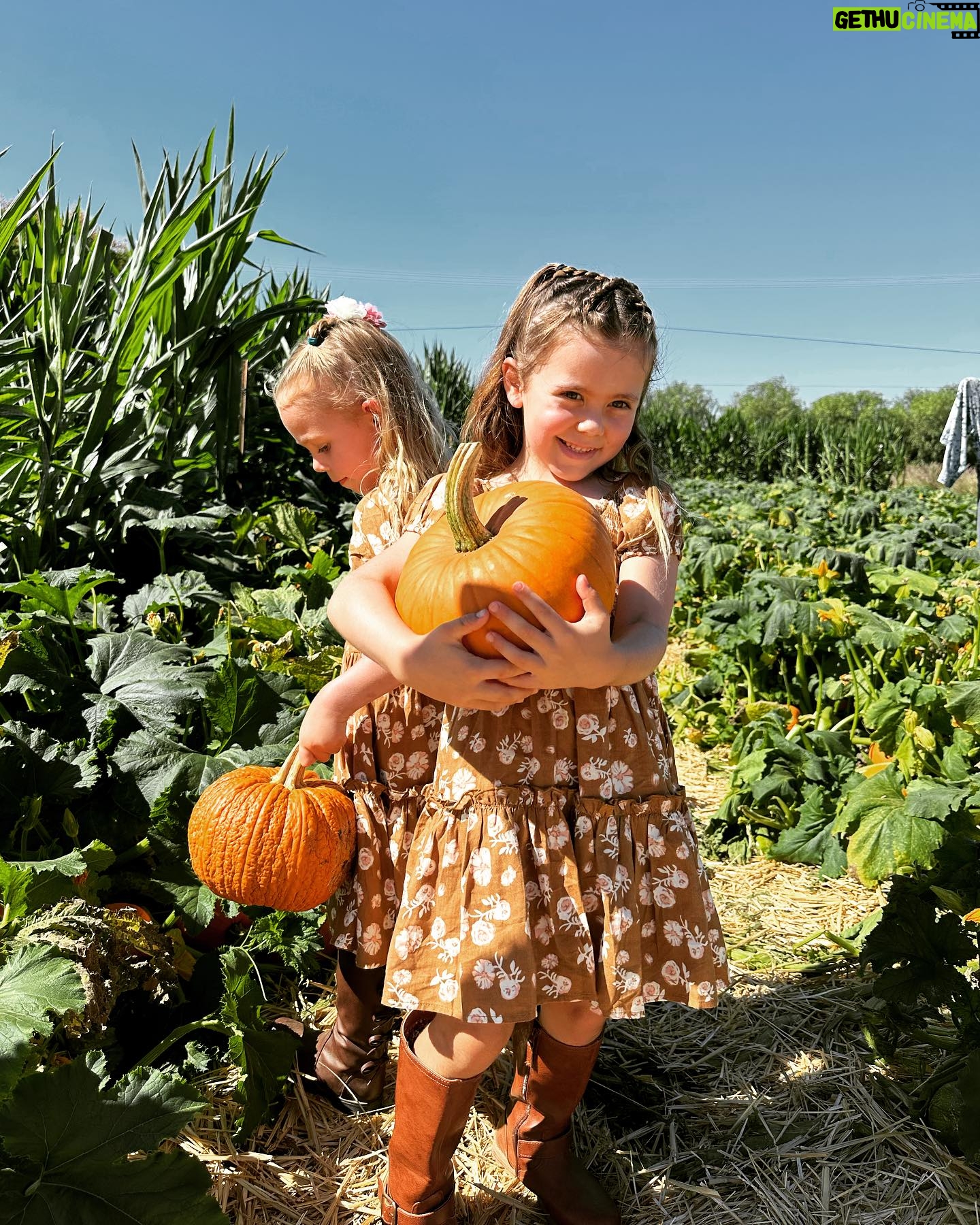 Maryse Mizanin Instagram - Beautiful day at the farm!!!! 🍁🍂 🎃