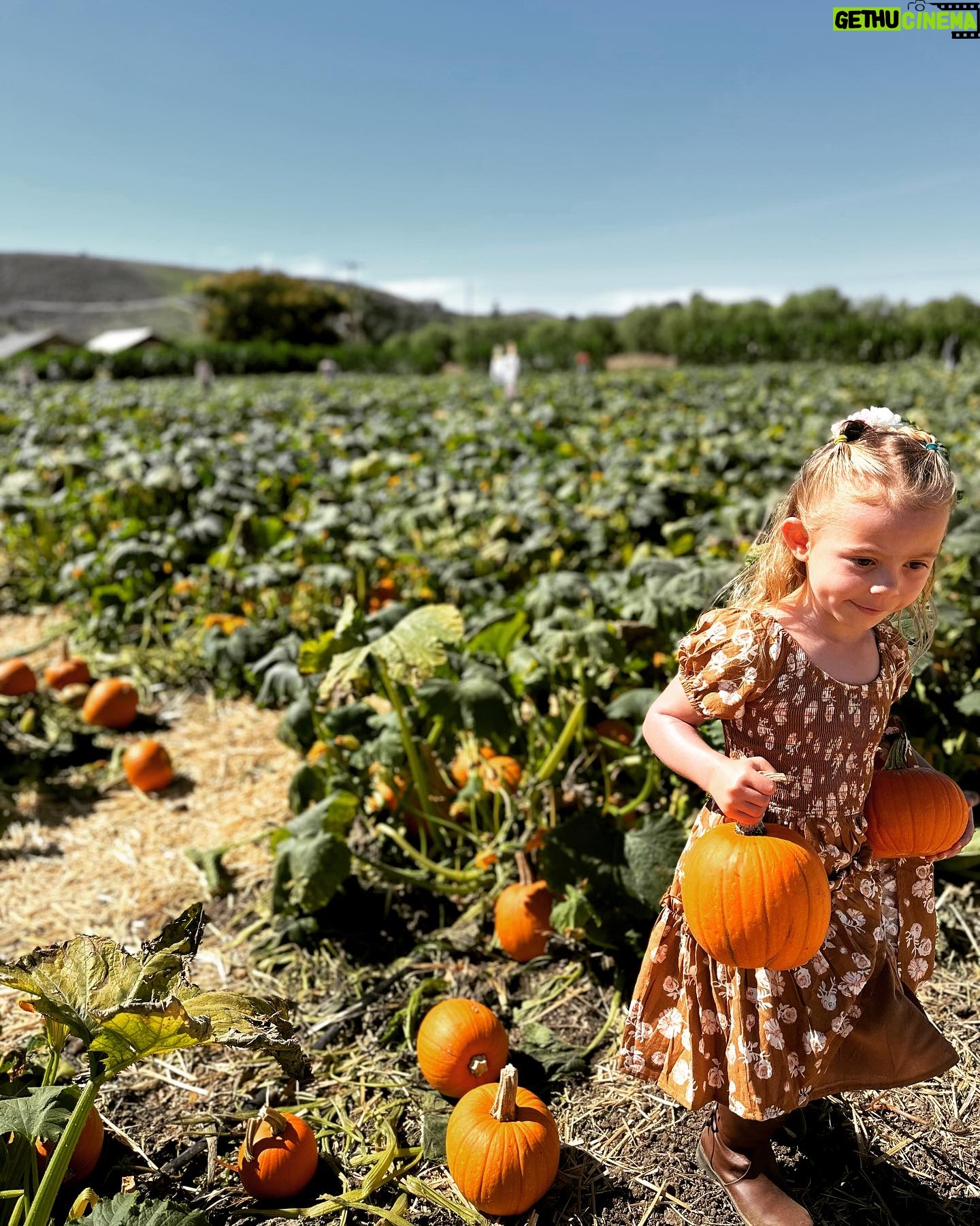 Maryse Mizanin Instagram - Beautiful day at the farm!!!! 🍁🍂 🎃