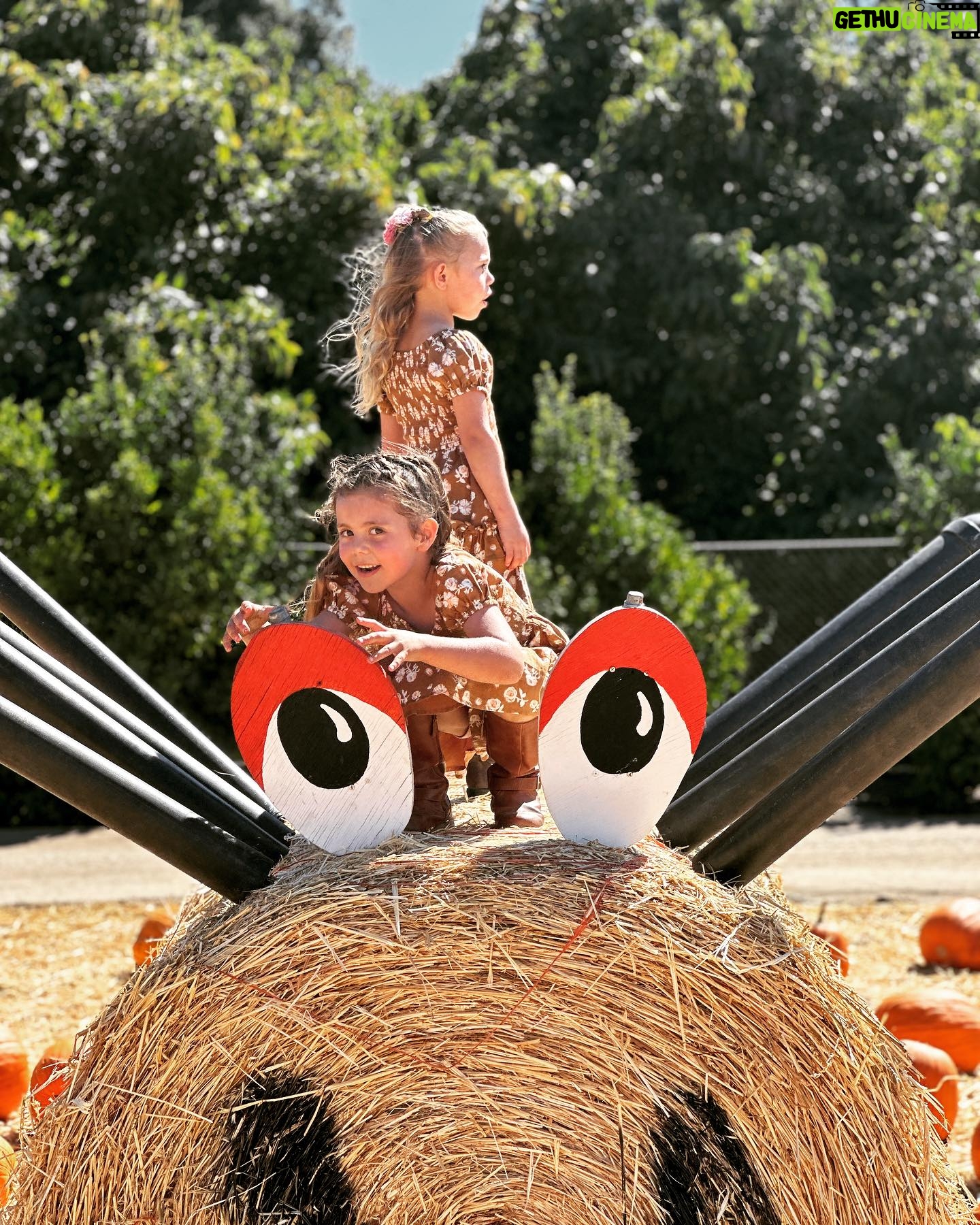 Maryse Mizanin Instagram - Beautiful day at the farm!!!! 🍁🍂 🎃