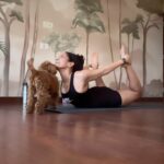 Masaba Gupta Instagram – Release work that my puppy did not understand 😂Happy to be back on my matt,opening up the spine and the heart ❤️😊🐕