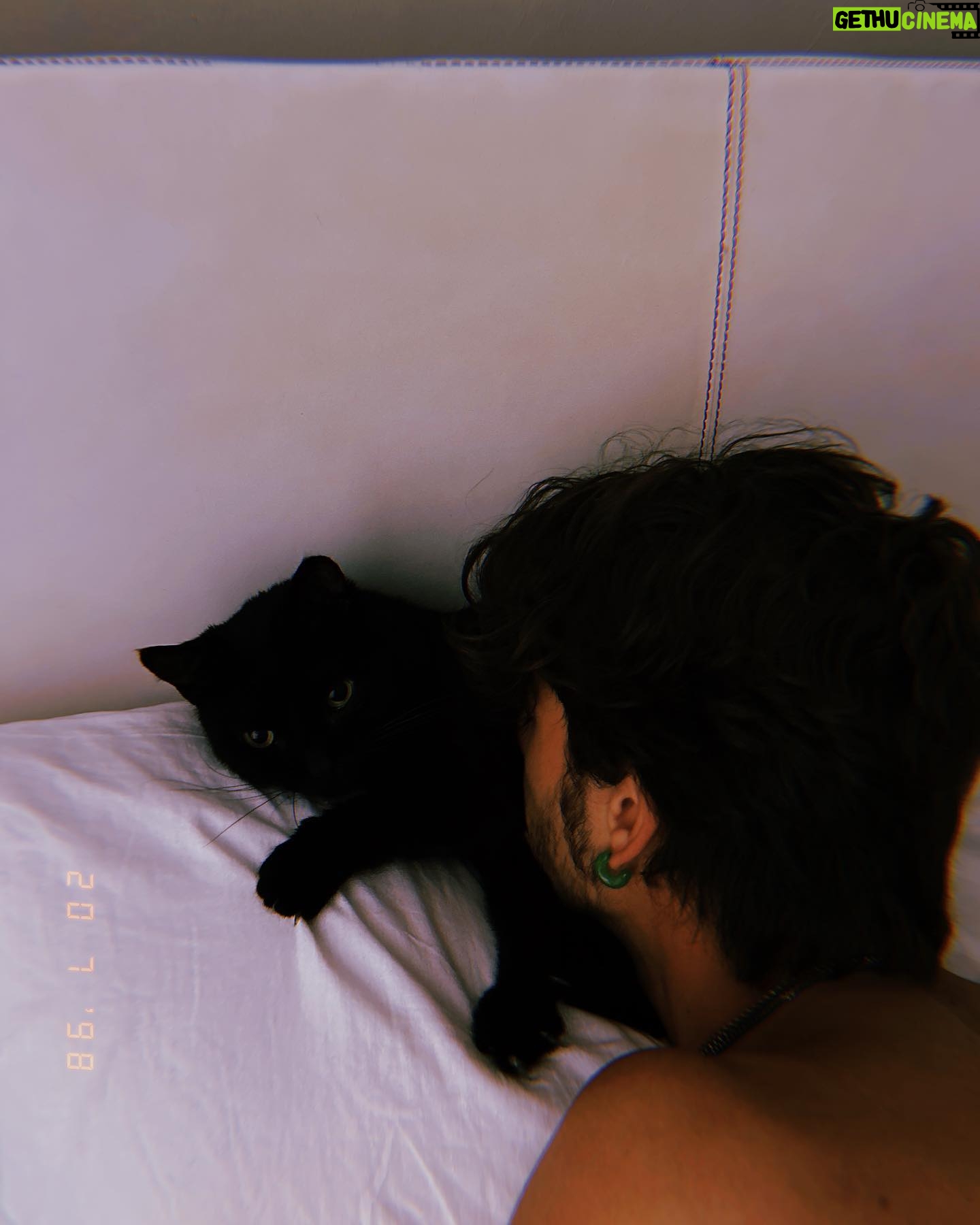 Matilda De Angelis Instagram - Ho abitato in 12 case nella mia vita