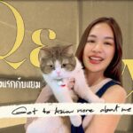 Matira Tantiprasut Instagram - Q&A ครั้งแรกของแยม มารู้จักกับแยมให้มากขึ้นในคลิปนี้ ใครที่ส่งคำถามเข้ามาอย่าลืมมาฟังคำตอบด้วยกันนะคะ Let’s go!!! 😊 #YamsStory #YamMatira #แยมมทิรา #QnA