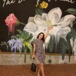 Maya Karin Instagram - Selamat pagi my darlings in Asia! 🔆🔆 Hi from Savannah, Georgia!! Long trip ahead.. #savannah #appleton #miami #lasvegas #portland #losangeles