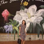Maya Karin Instagram - Selamat pagi my darlings in Asia! 🔆🔆 Hi from Savannah, Georgia!! Long trip ahead.. #savannah #appleton #miami #lasvegas #portland #losangeles