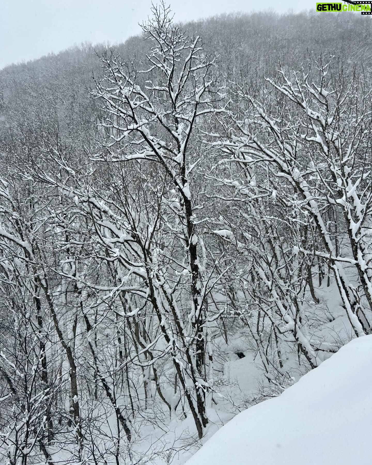 Maya Karin Instagram - Super snow in Japan!! ⛷️🏂⛷️🏂❄️☃️❄️☃️ Sampai boleh hampir tenggelam dalam salji 😂❄️❄️❄️ #iloveskiing #kaputt #hakuba #japan