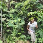 Maya Karin Instagram - Rindu dengan hutan sabah, missing my time in jungle with my mentor and advisor @royimbak .. Time to go back to Sabah soon and visit my own waterfall. Air terjun Maya Karin 😘 #conservation #malaysia