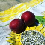 Maya Karin Instagram - First day in Montpellier. Picnic, sunshine, juicy peaches and freezing water huhu! #montpellier #summerholiday #france #bluesky
