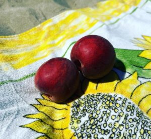 Maya Karin Instagram - First day in Montpellier. Picnic, sunshine, juicy peaches and freezing water huhu! 
#montpellier #summerholiday #france #bluesky