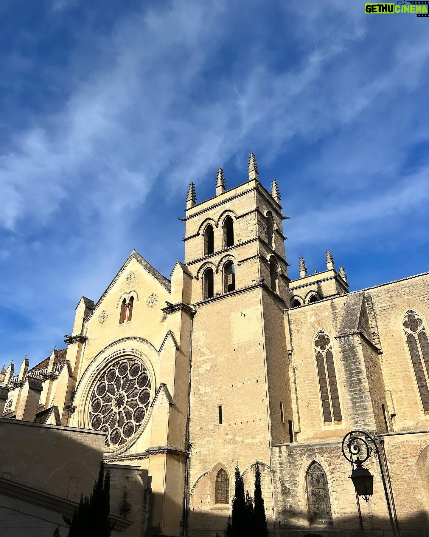 Maya Karin Instagram - Visited the oldest medical university in the world, Montpellier. 803 three years old. Amazing.. #montpellier #oldestmedicaluniversity