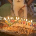 Maymay Entrata Instagram – Happy 2nd Birthday my baby Shaggy!!! 😂❤️😽