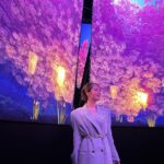 Mayuu Yokota Instagram - Tiffany Wonder🩵🌸 ダイアモンドの王♕ティファニー展はどのお部屋も魅力的でした。最後のイエローダイアモンドのカメラに映らない程の輝きは忘れられません🩵 @tiffanyandco #Tiffanyandco #TiffanyWonder #ティファニー展 #TiffanyPartner