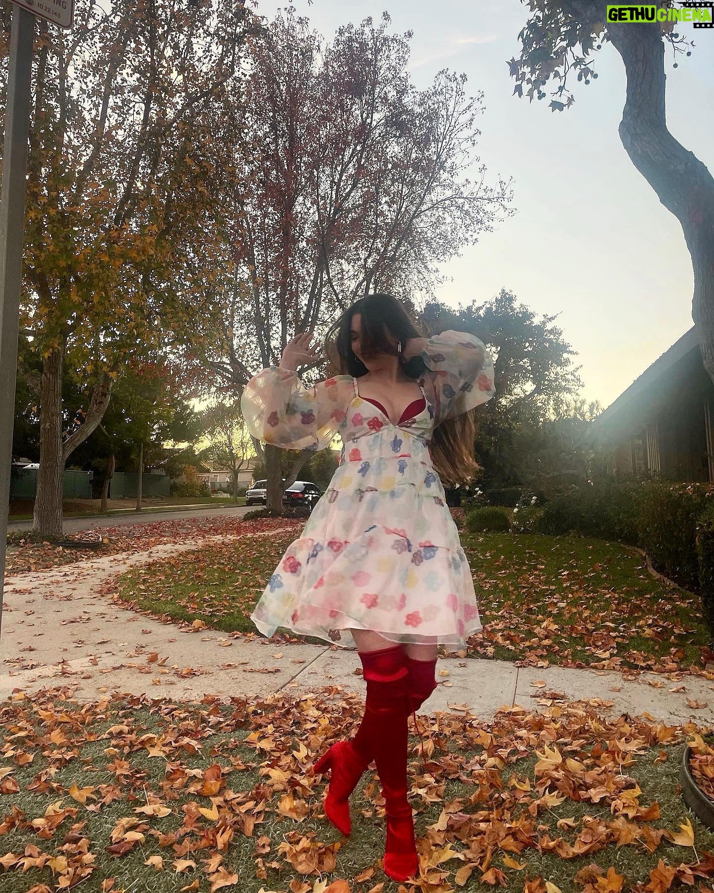 McKayla Maroney - 38.9K Likes - We can leave the Christmas lights up till January