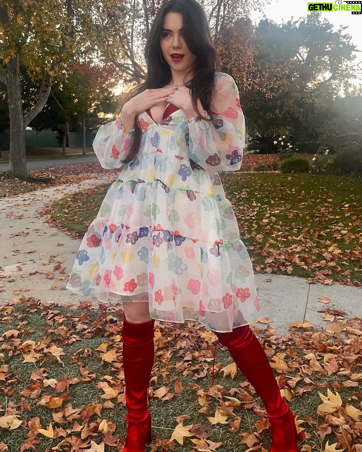 McKayla Maroney - 38.9K Likes - We can leave the Christmas lights up till January