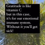 McKayla Maroney Instagram - My thoughts on gratitude 🤍
