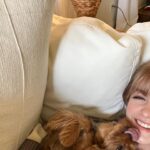 Mckenna Grace Instagram - Failed my learners permit test😭but at least I’ve driven the Ecto 1…special thank you to Gizmo who laid on the couch with me for 2 hours while I cried (last pic) In better news, tomorrow is GHOSTBUSTERS day with a special announcement by @jasonreitman 👻