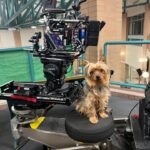 Mckenna Grace Instagram - A post dedicated to Gizmo Fruitsnack Benjamin Cheesewiz Freaky-Bad Boy Chicken Nugget Fruitsnack Soot DiCaprio ❤️He’s been coming to sets since he was 6 weeks old and is the best boy Talked about how he got his name, Handmaid’s Tale, acting, music and more on @tht_abovethegarage podcast, out now.