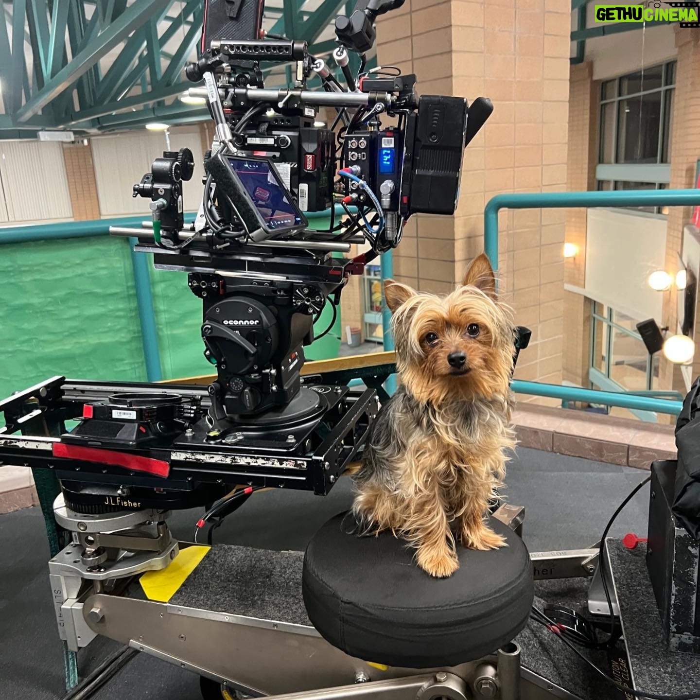Mckenna Grace Instagram - A post dedicated to Gizmo Fruitsnack Benjamin Cheesewiz Freaky-Bad Boy Chicken Nugget Fruitsnack Soot DiCaprio ❤️He’s been coming to sets since he was 6 weeks old and is the best boy Talked about how he got his name, Handmaid’s Tale, acting, music and more on @tht_abovethegarage podcast, out now.