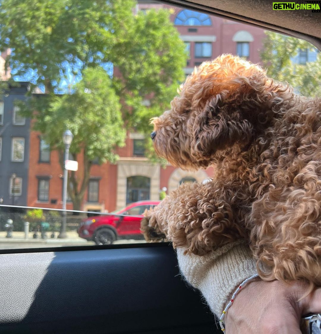 Meadow Walker Thornton-Allan Instagram - I hope everyone is happy and safe. There is so much pain, suffering and aggression in this world. Please be kind to one another. Do Good. Spread love. Xx