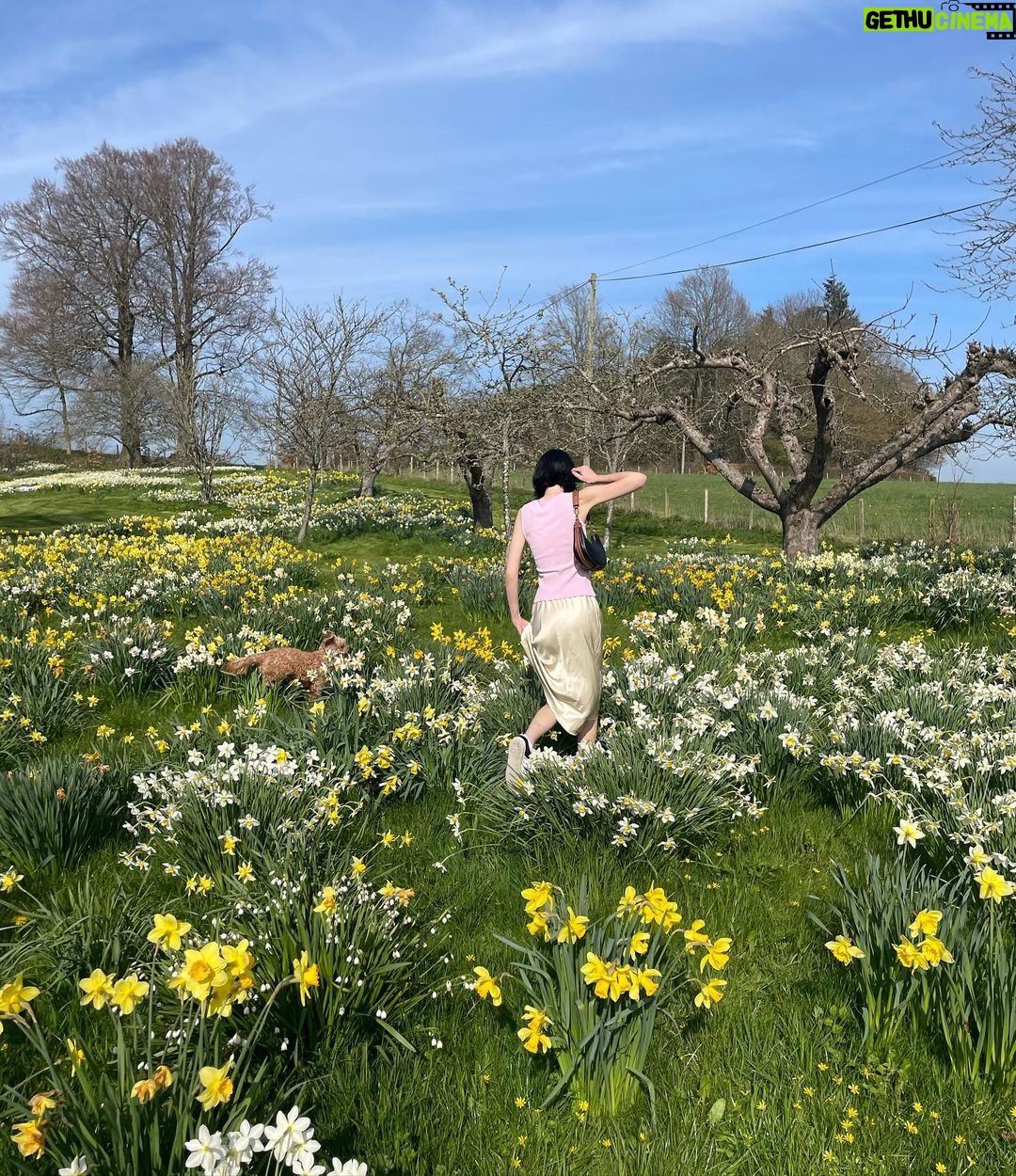 Meadow Walker Thornton-Allan Instagram - 🐣 sending love to you all Xx
