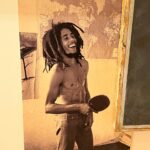 Meg Donnelly Instagram - thank u @bobmarleyexperience ♡◡♡