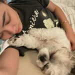 Meg Imperial Instagram - I'm absolutely overjoyed with these two adorable fur babies! They have such distinct personalities that we absolutely adore. One of them is incredibly affectionate and lovable, always wanting to be by our side. And the other one, oh, so classy and sophisticated, yet still sweet in his own way. It's pure bliss having these two fur babies in our lives. We couldn't be happier! 💕 #shihtzu #toypoodle #doglover