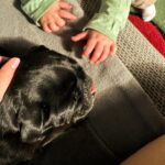 Meg Verschelle Instagram - Je suis déjà nostalgique de mon premier petit bébé qui grandit à toute vitesse 🥹❤️🤧. Son petit frère arrive très bientôt 🙏🏻 la nouvelle vie à 4 (6🐶🐶) va être folle et intense. 😍 Je prie pour que l’état de santé de notre petite Doudouce 🐾 ne se dégrade pas jusqu’à la naissance afin de lui faire la rencontre de notre deuxième petite merveille. ✨ 🙏🏻❤️