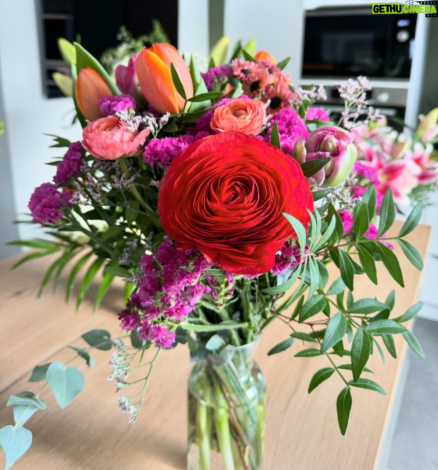 Meg Verschelle Instagram - MERCI ๐ฅน๐๐ป Ne mโoffrez plus de fleurs, je nโai plus de vases !! ๐๐