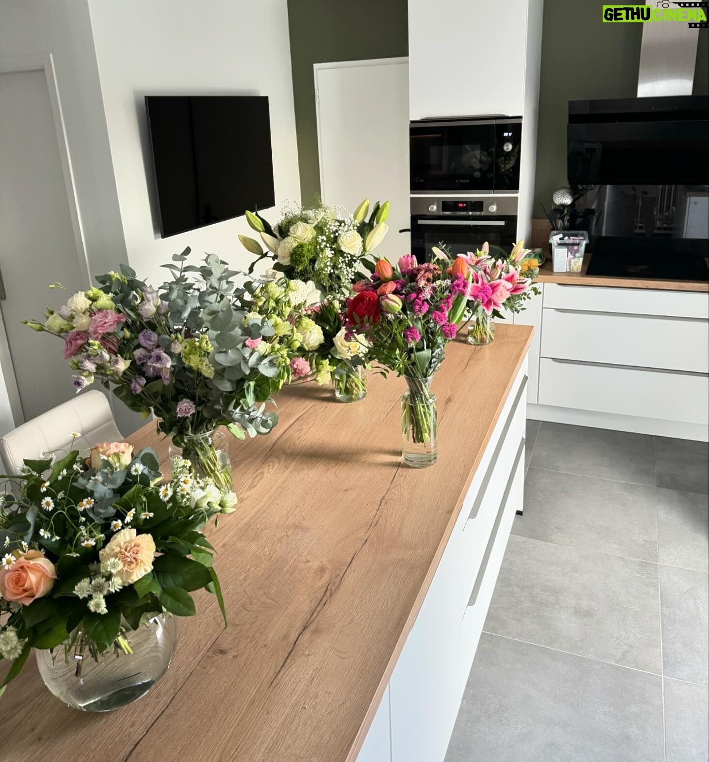 Meg Verschelle Instagram - MERCI ๐ฅน๐๐ป Ne mโoffrez plus de fleurs, je nโai plus de vases !! ๐๐