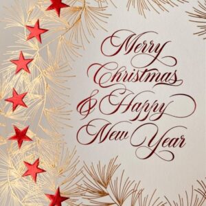 Melania Trump Instagram - Merry Christmas ✨✨✨