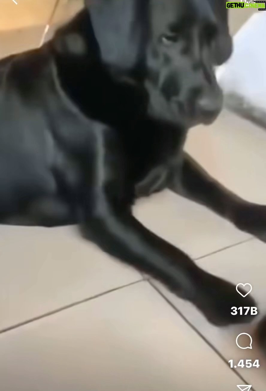 Melek Baykal Instagram - Ayyy severim seni ben😂 Bücür seni boyuna posuna bakmadan nasılda dayılanıyor😂aklı sıra anneye kafa tutuyo