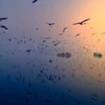 Melek Baykal Instagram – 🦋 Mutlu Sağlıklı Huzurlu Haftalar Dilerim🌸❤️