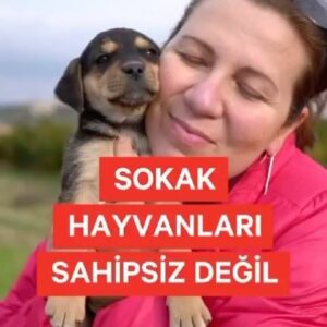 Melek Baykal Instagram - Sokak hayvanları sahipsiz değildir 🙏 

Daha çok paylaşım yaparak sokak hayvanlarımızı koruyalım. Story’de imzalamamız gereken küçük bir bilgi formu var. Bütün hayvan dostlarına sesleniyorum. 

Hep birlikte sokak hayvanlarımıza sahip çıkalım❤️