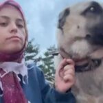Melek Baykal Instagram - ❤️ Mutlu Günler Olsun ❤️🌸 İzlemekten en keyif aldığım video olabilir 🤗🤗🤗🤗