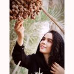 Melika Sharifinia Instagram - . این روزها از هر طرف که می‌روم لذتی بالاتر از کندن دانه‌های خرما نیست این روزهایم پر از خوشه‌های خرما شده‌اند و حس لذیذِ کنده‌ شدن‌ها . . عکس زیبا از آقا سیروس عبدلی عزیز @sirous_abdoli 🌹 . . #آبادان #خرما #گرما #نجلا #آ_بده
