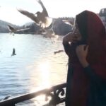 Melika Sharifinia Instagram - ا خاطره‌بازی ظهر جمعه 🕊 در خدمت مرغان دریایی عزیز و مهمان نواز‌ ! که به خاطر دو تا دونه عکس نزدیک بود بنده رو بخورن ! 😐 خوبه قبلش اینهمه بهشون غذا دادیم !!ا ا من از صدای مرغ دریایی می‌ترسم ! شما چطور؟ 😶 ا عکس‌ها مربوط به دو سال پیش هستند که به دعوت جشنواره‌ی فیلم‌های ورزشی میلان ، بخاطر برگزیده شدن فیلم «عشق نیکان » با عزیزان دلم رفتیم 🌹 ا 🙏🏻📸 @aboozarhid 😍♥️ @farnaz.amini69 🌹 @mohamadshamaeian ا #ملیکا_شریفی_نیا #فرناز_امینی #عشق_نیکان #مرغ_دریایی